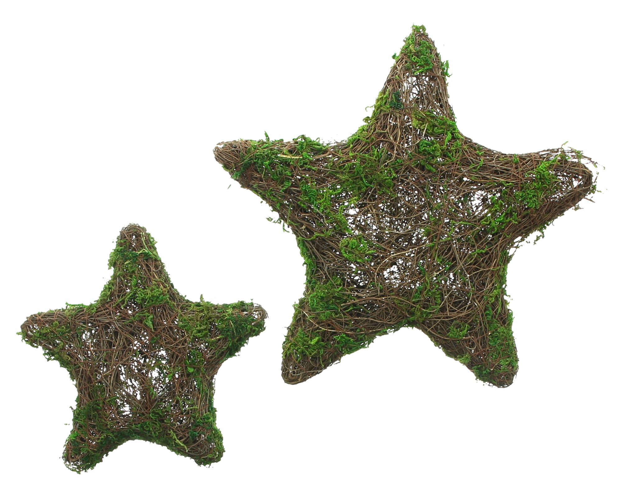 Stern "Moos", 2er Set  im Frank Flechtwaren Online Shop kaufen