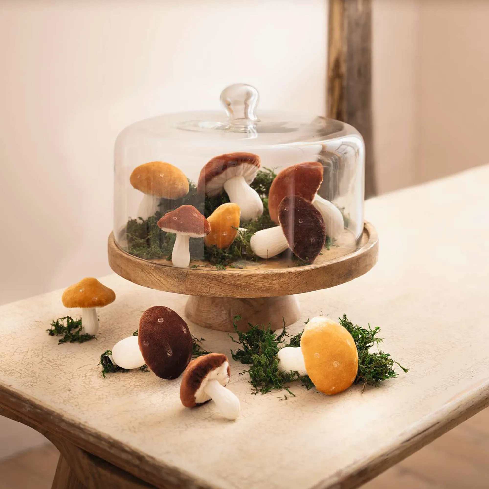 Servierplatte "Mangoholz" mit Glasglocke  im Frank Flechtwaren Online Shop kaufen