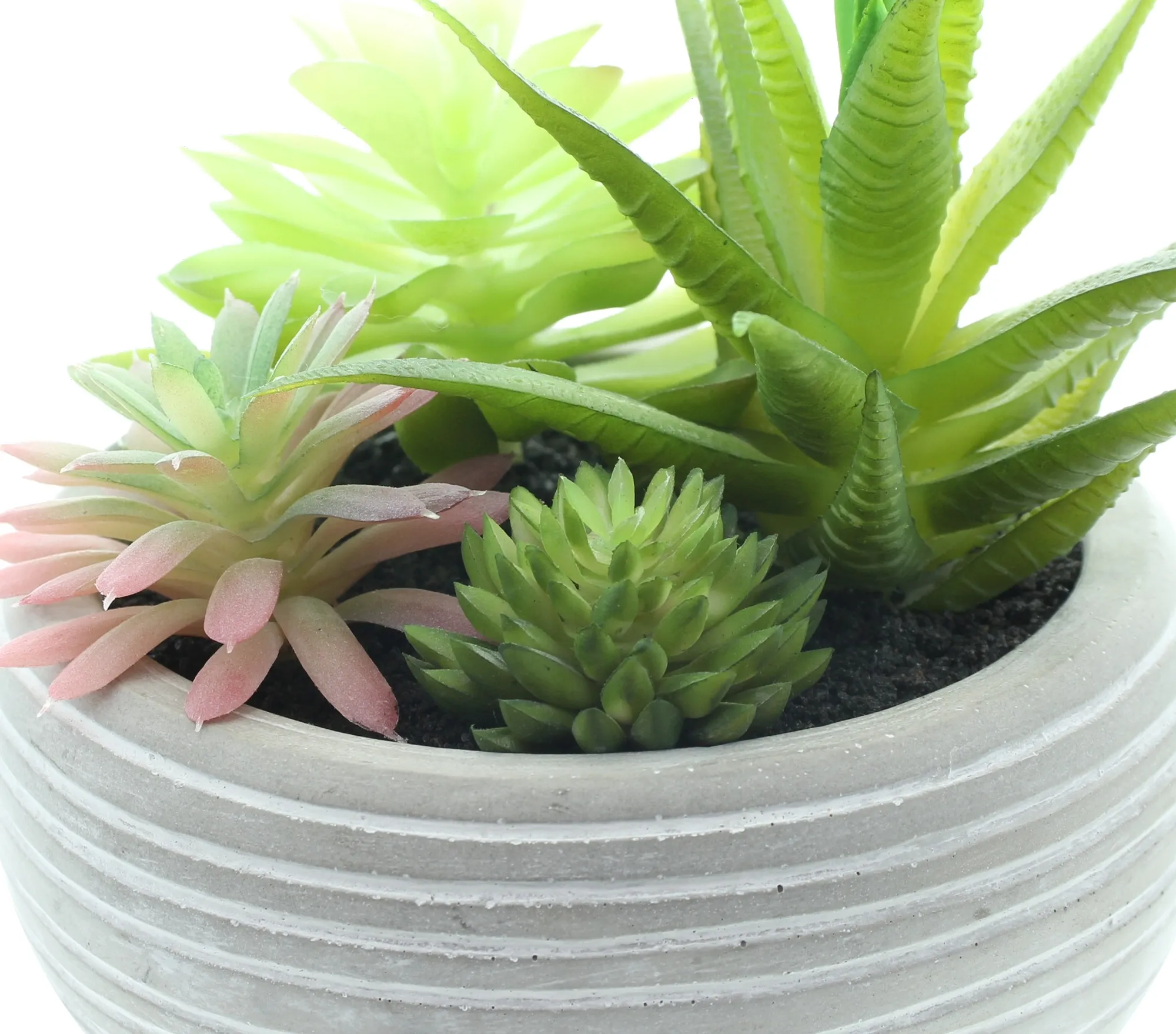 Kunstpflanze "Sukkulenten im Topf"  im Frank Flechtwaren Online Shop für Natur &amp; Grün kaufen
