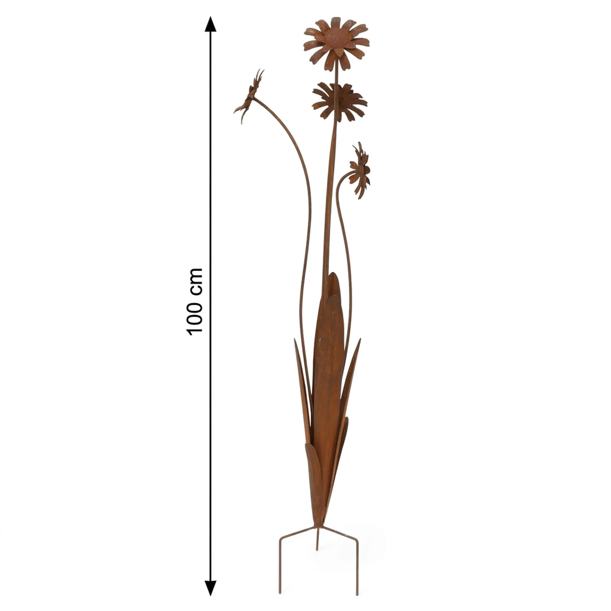 Gartenstecker "Rostblumen"  im Frank Flechtwaren Online Shop für Rostdeko für Ihren Garten kaufen