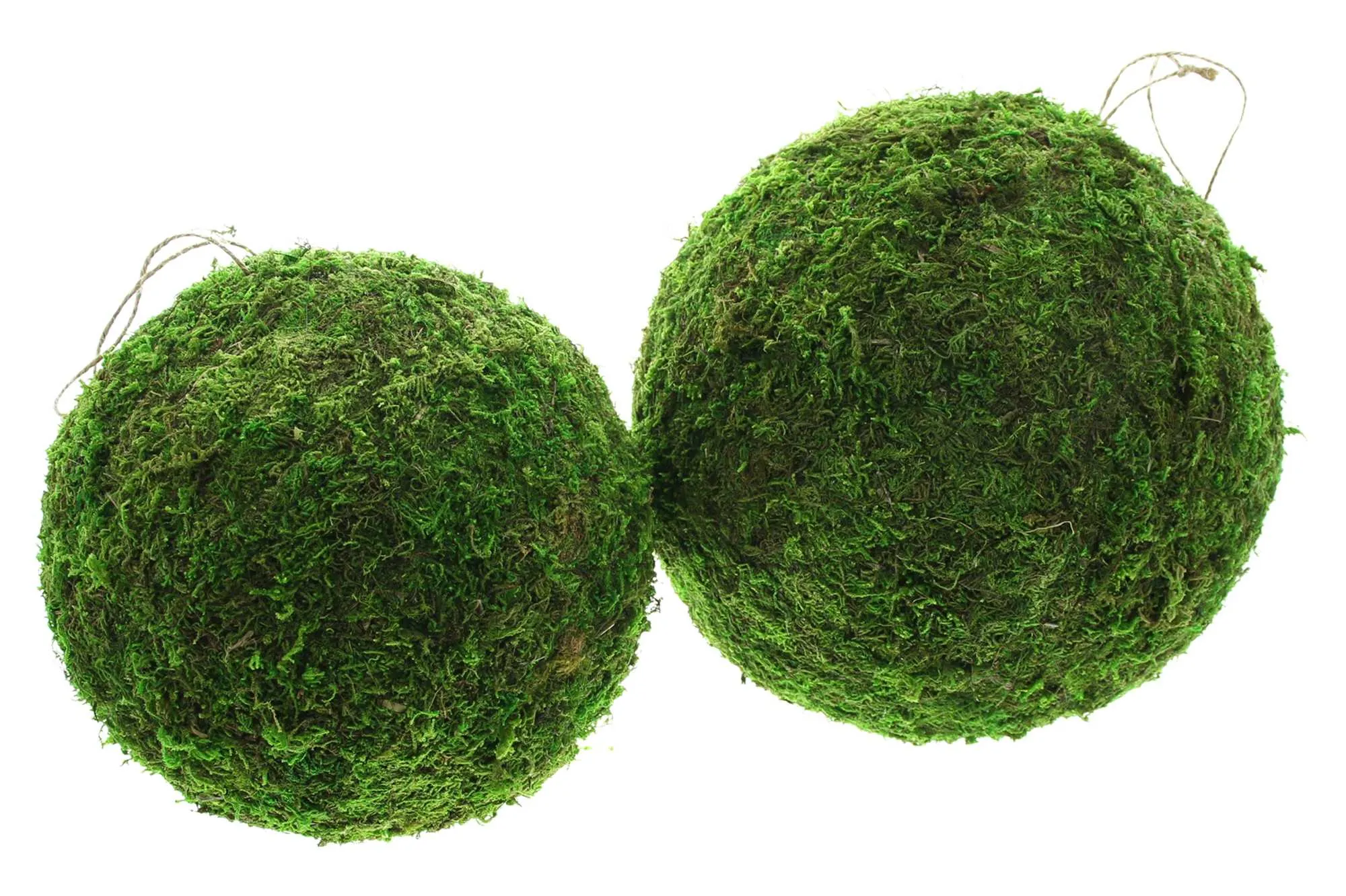 Hänger "Mooskugel", 2er Set  im Frank Flechtwaren Online Shop für Österliche Dekohänger kaufen