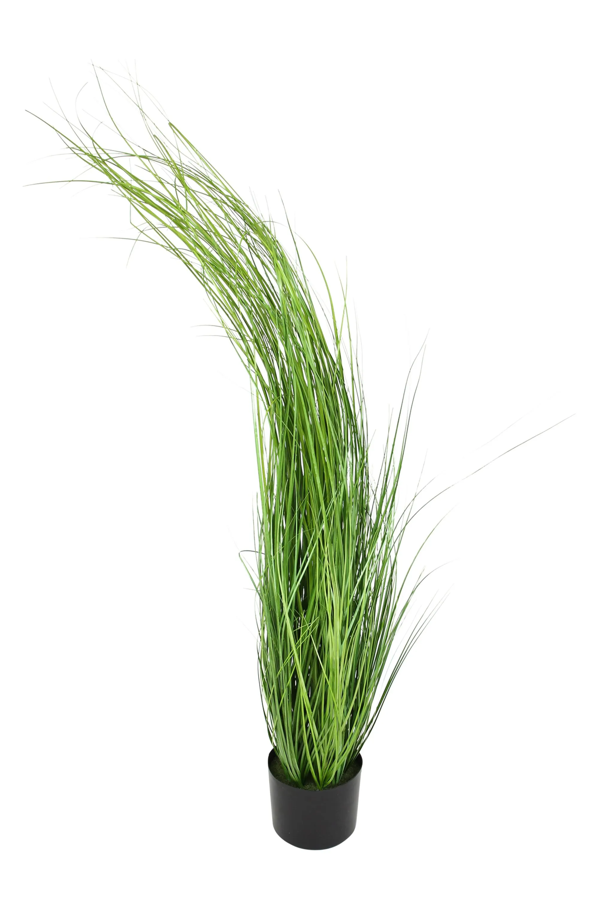 Pflanze "Gras"  im Frank Flechtwaren Online Shop für Kunstpflanzen kaufen
