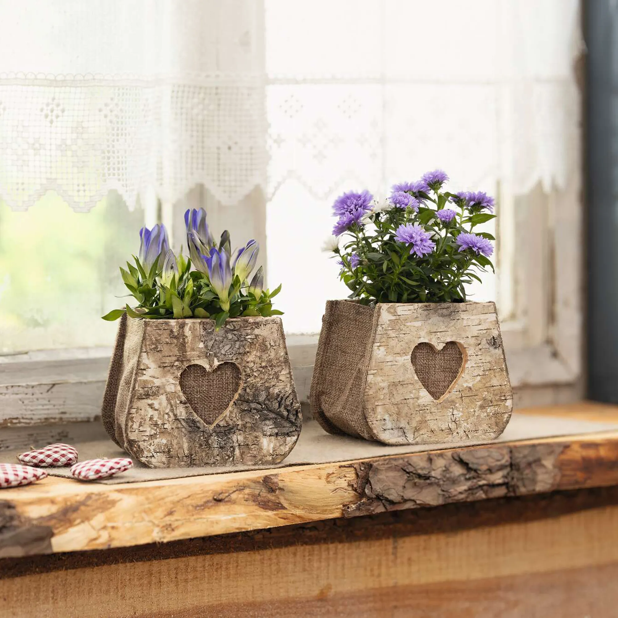 Pflanztasche "Birkenherz", 2er Set  im Frank Flechtwaren Online Shop kaufen