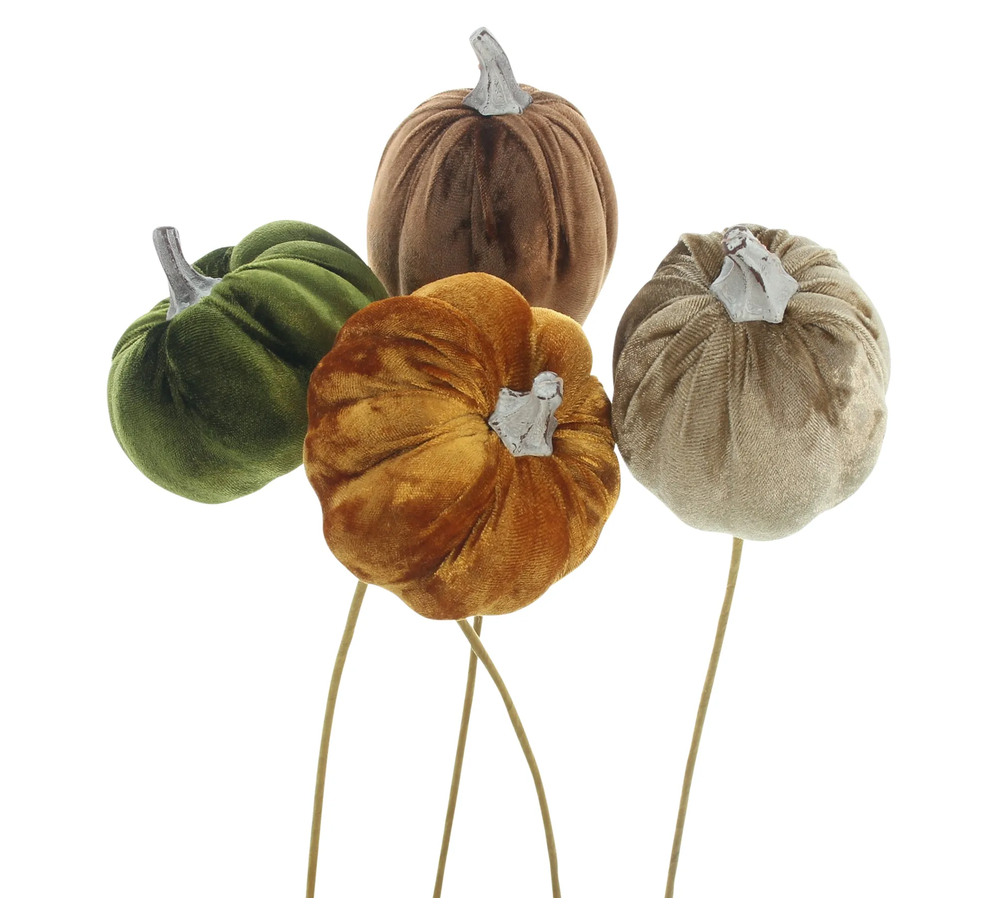 Stecker "Samtkürbis", 4er Set  im Frank Flechtwaren Online Shop für Naturtöne kaufen