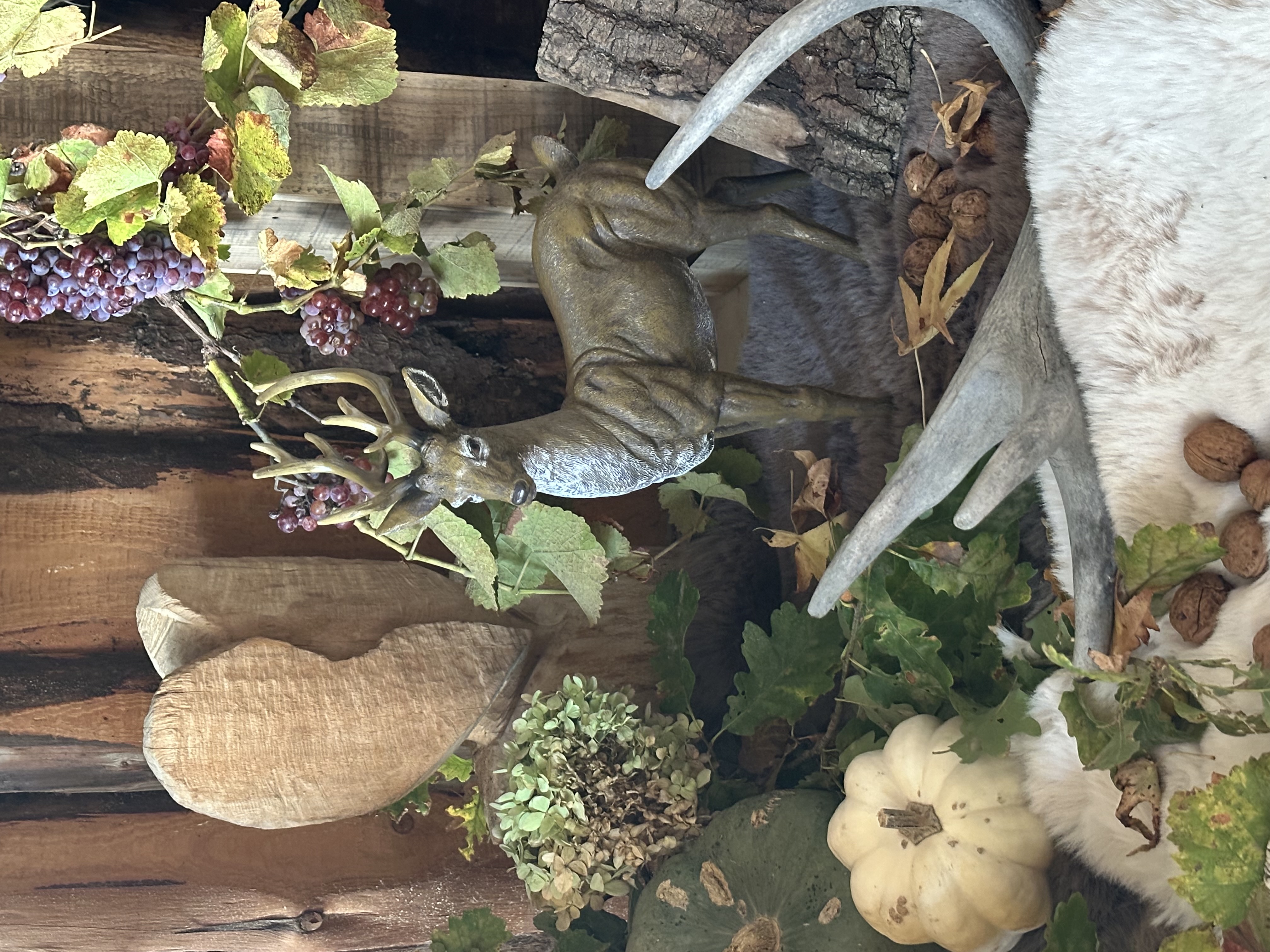 Herbstdeko: Hirschfigur mit Weinranken, Zierkürbis und Geweihdeko im Landhausstil
