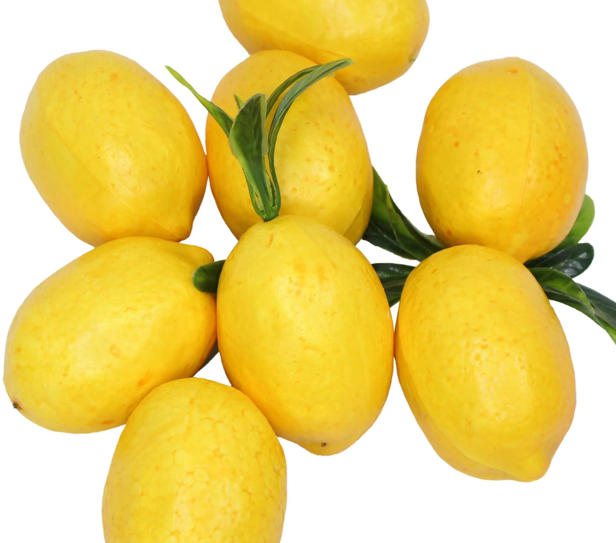 Zitrone, 8er Set  im Frank Flechtwaren Online Shop für Lemon Sorbet kaufen