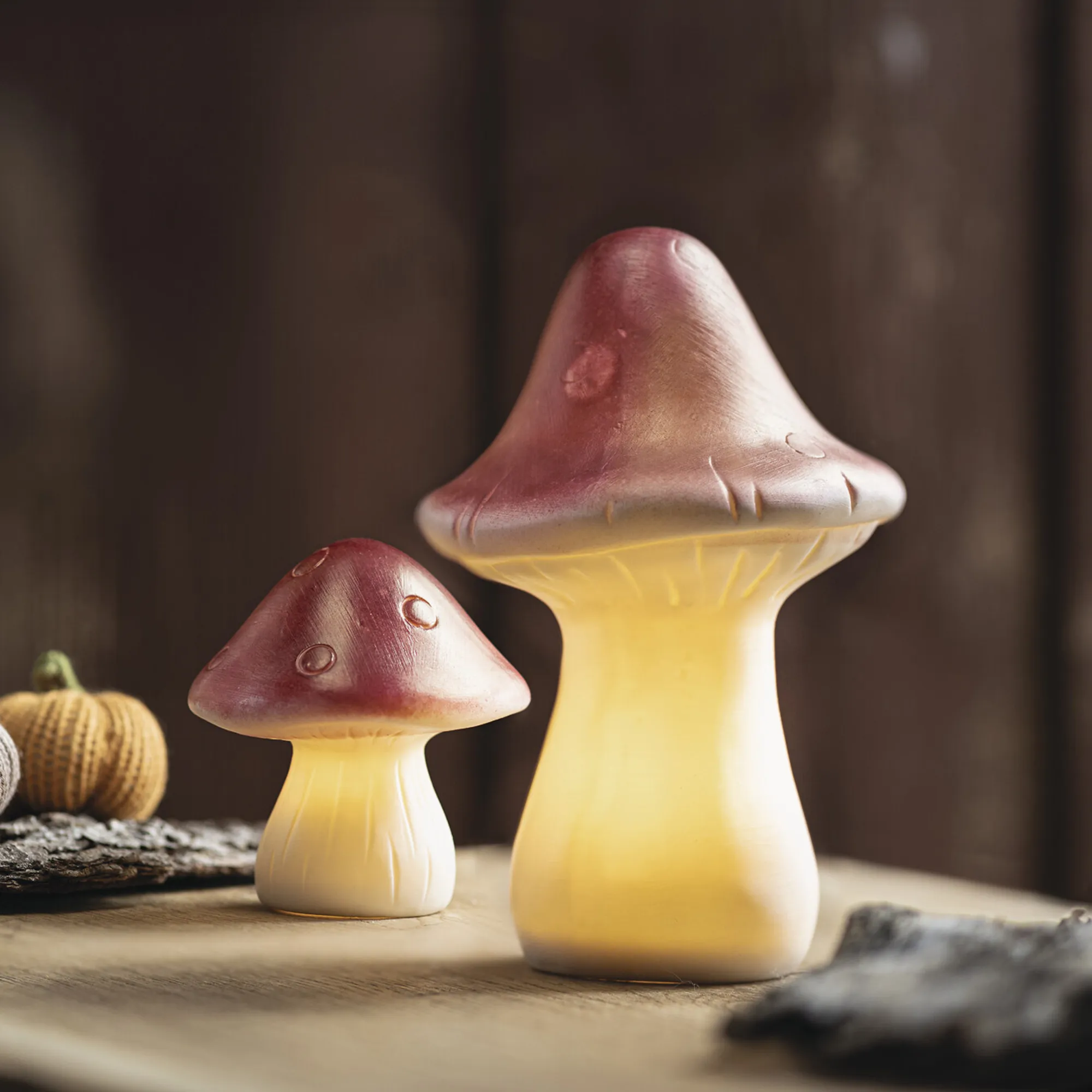 LED-Deko "Pilz", 2er Set  im Frank Flechtwaren Online Shop kaufen