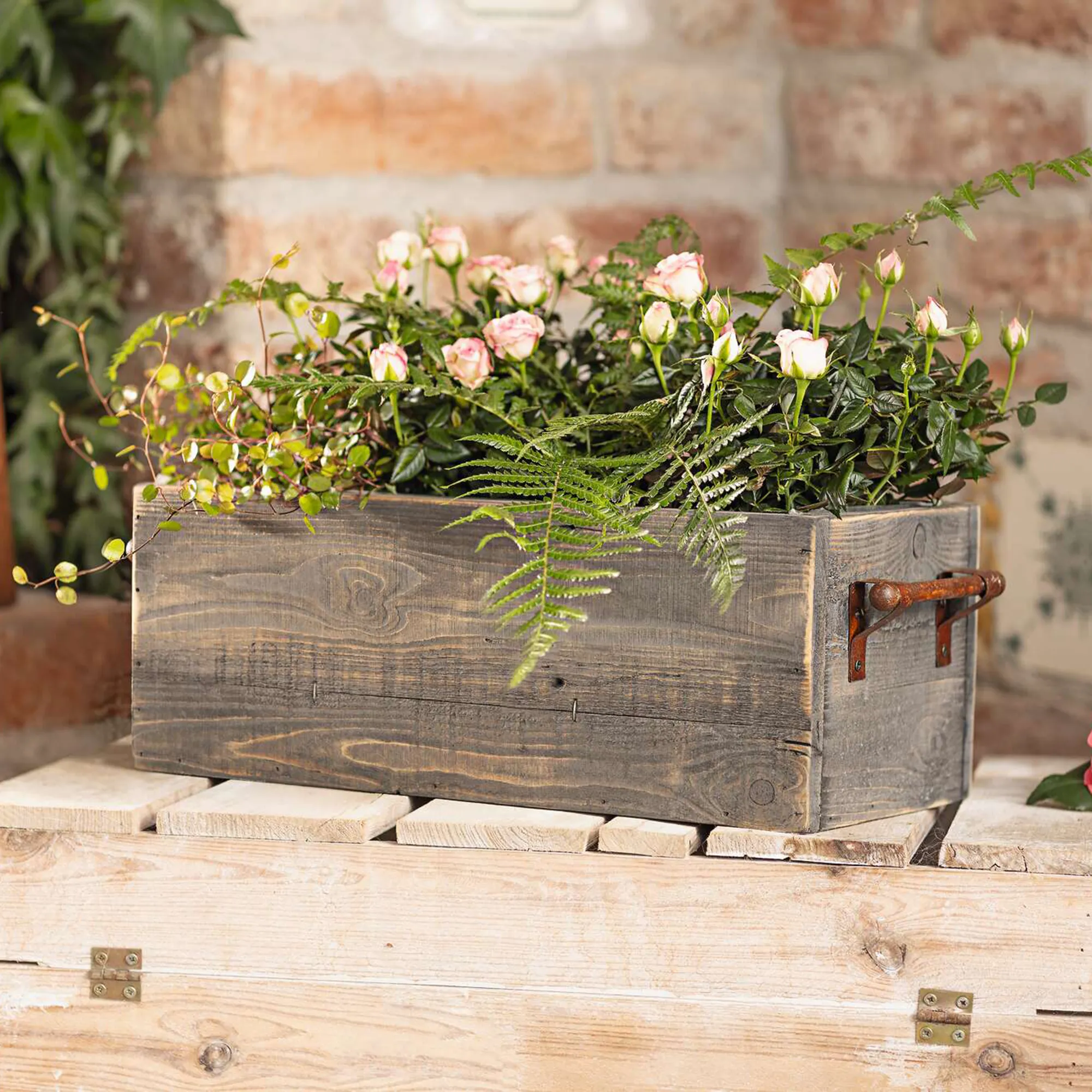 Pflanzbox "Farmhouse"  im Frank Flechtwaren Online Shop kaufen