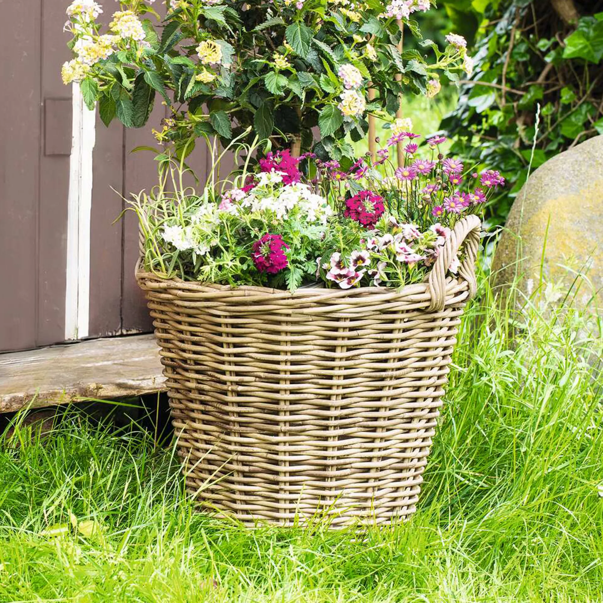 Pflanzkorb "Rattan", maxi  im Frank Flechtwaren Online Shop kaufen