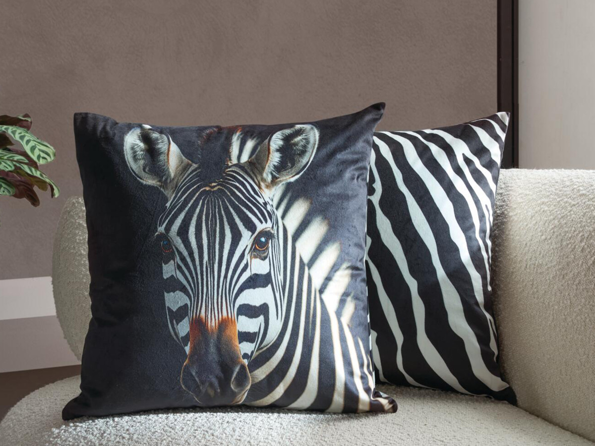 Find Your Animal Spirit