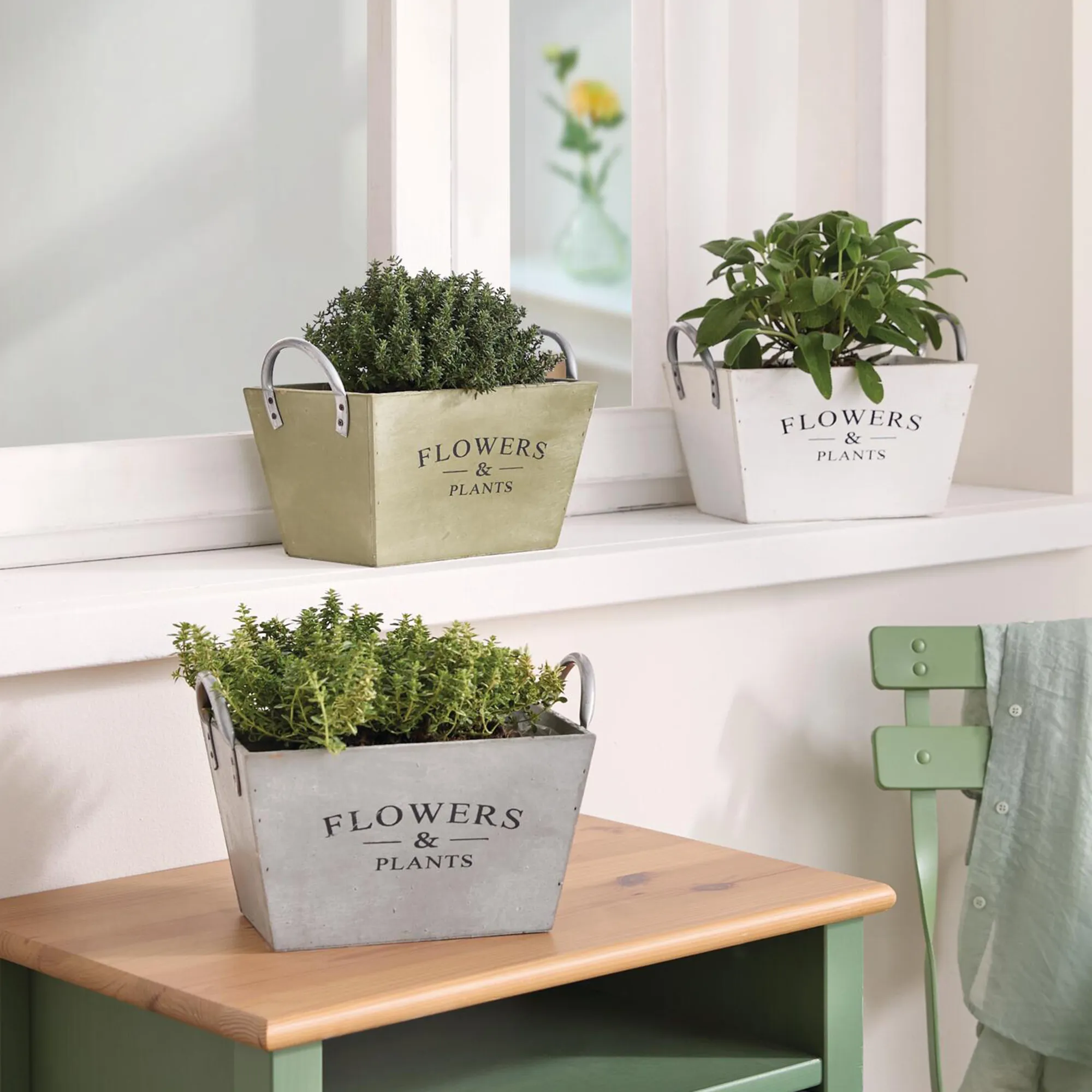 Pflanzer "Flowers &amp; Plants", 3er Set  im Frank Flechtwaren Online Shop kaufen