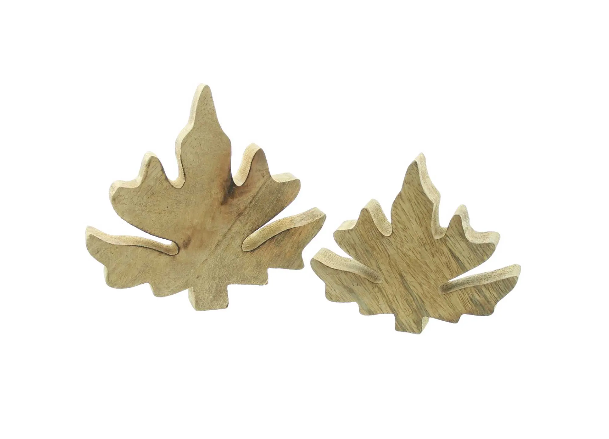 Dekoblatt "Mangoholz", 2er Set  im Frank Flechtwaren Online Shop für Herbstliche Dekofiguren kaufen