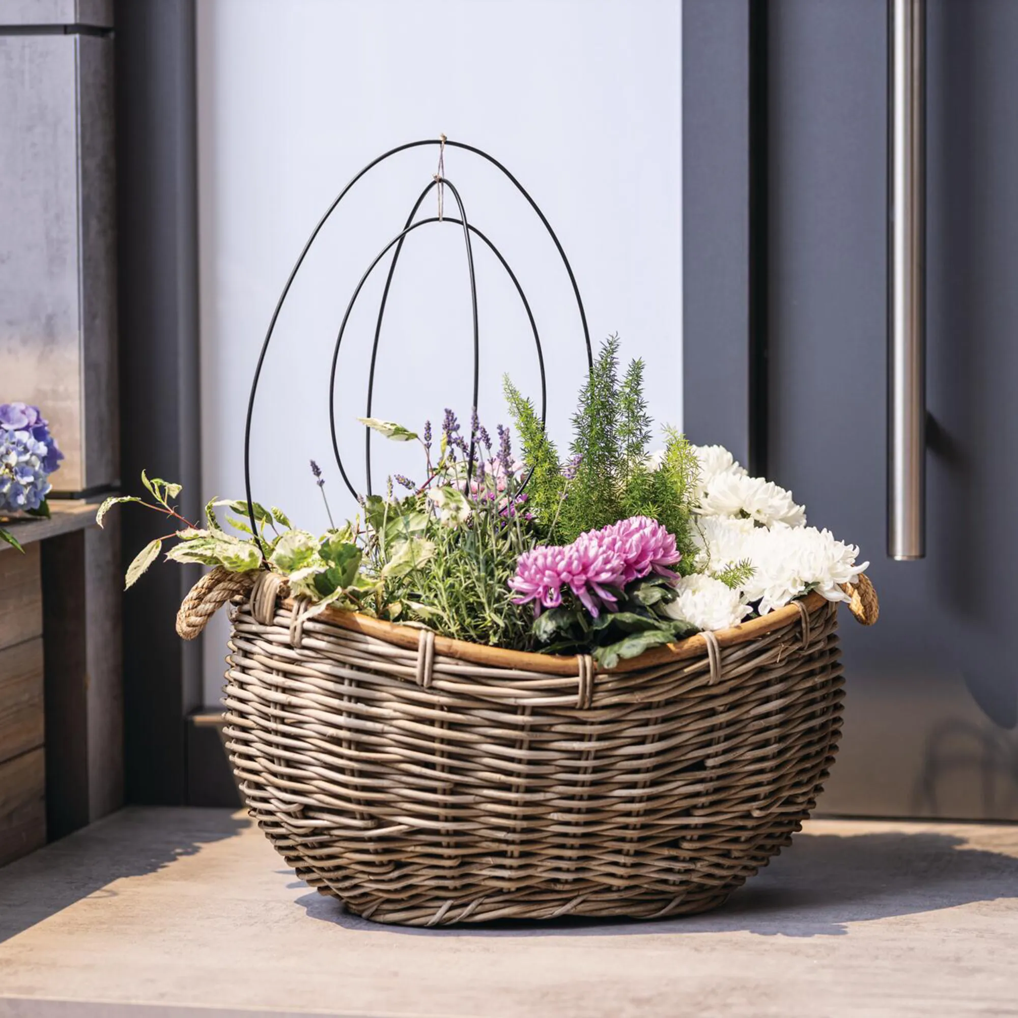 Dekoring "Ei", 3er Set  im Frank Flechtwaren Online Shop für Dekohänger kaufen