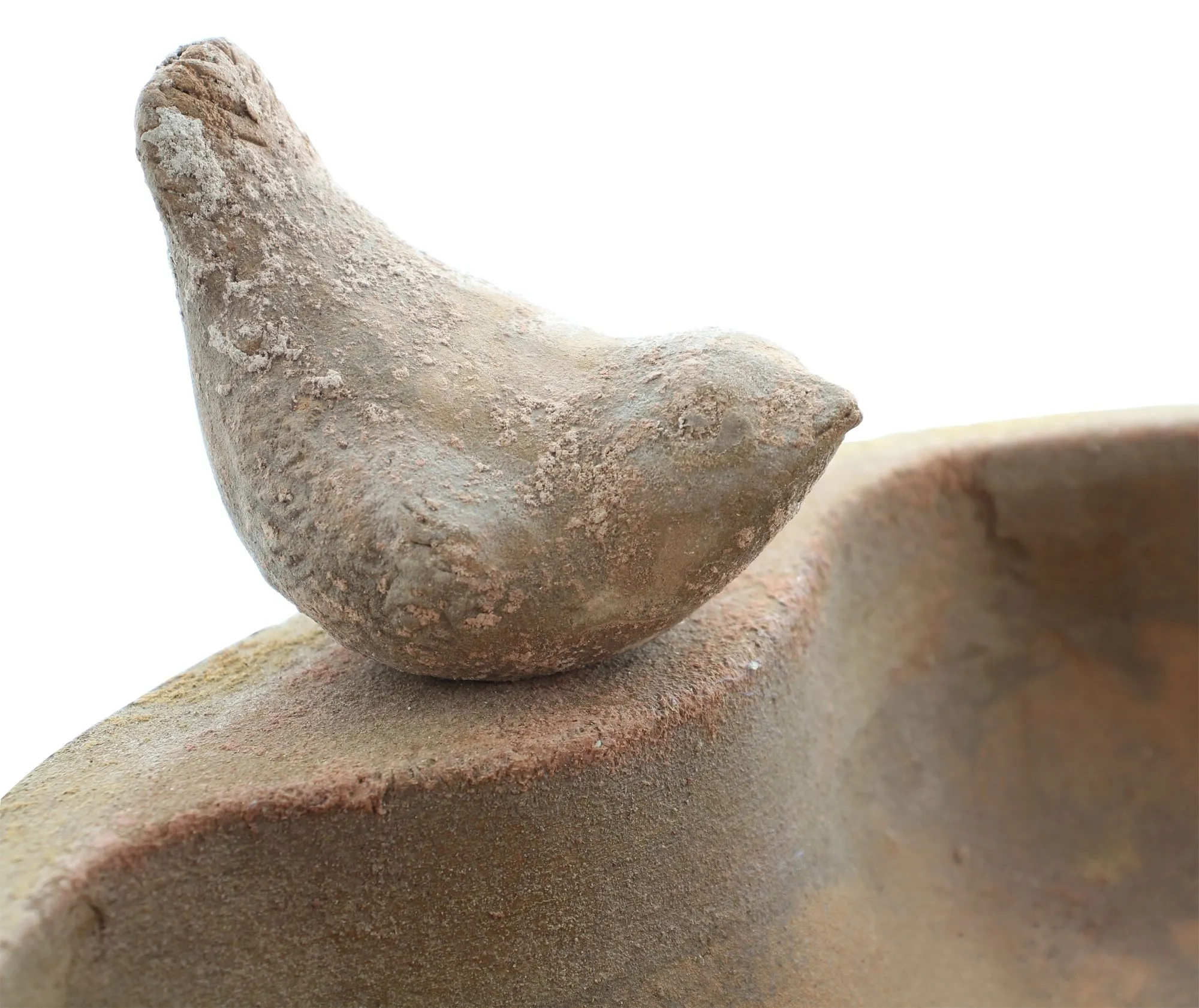 Vogeltränke "Terracotta"  im Frank Flechtwaren Online Shop für Bunter Ostergarten kaufen