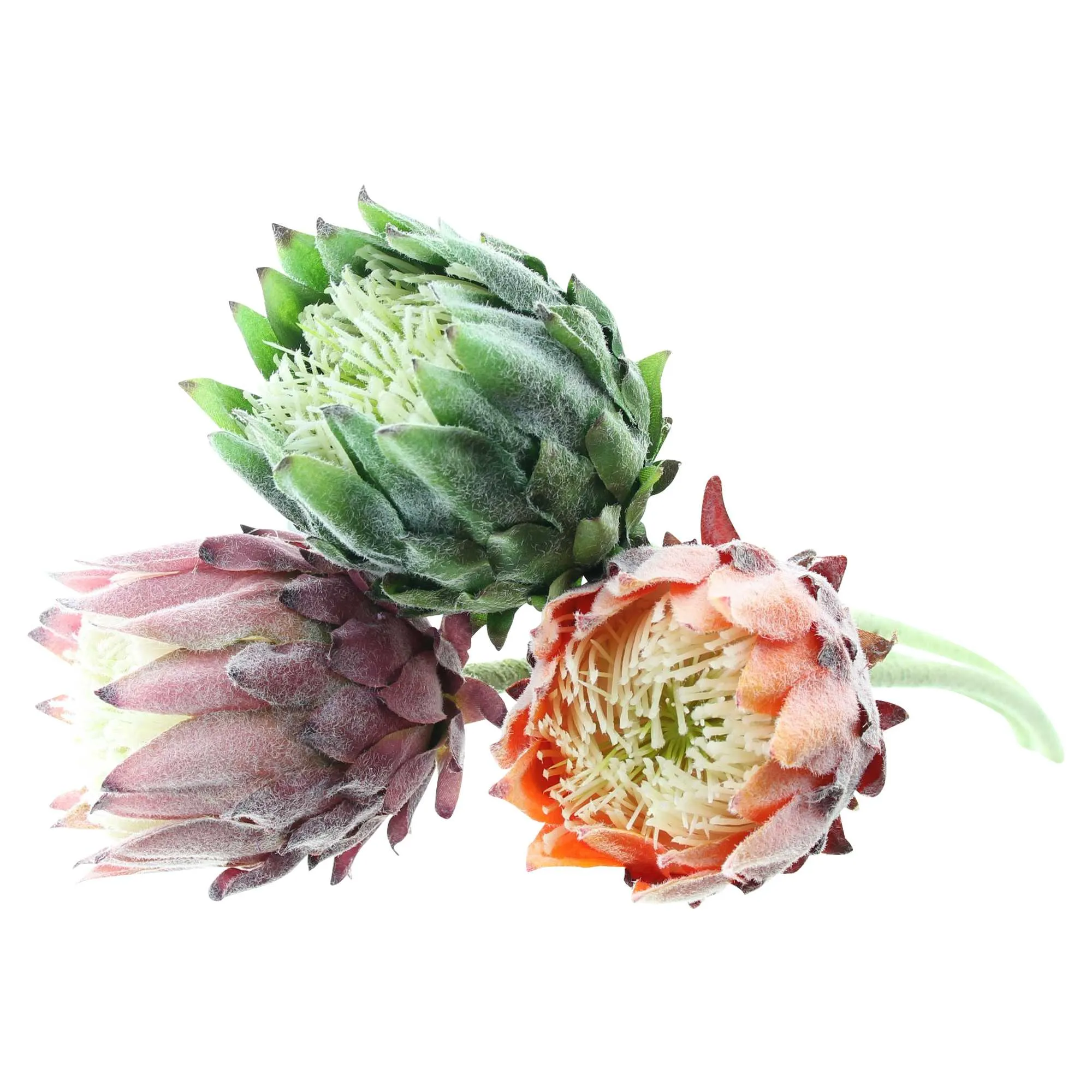 Blume "Protea", 3er Set  im Frank Flechtwaren Online Shop für Kunstpflanzen kaufen