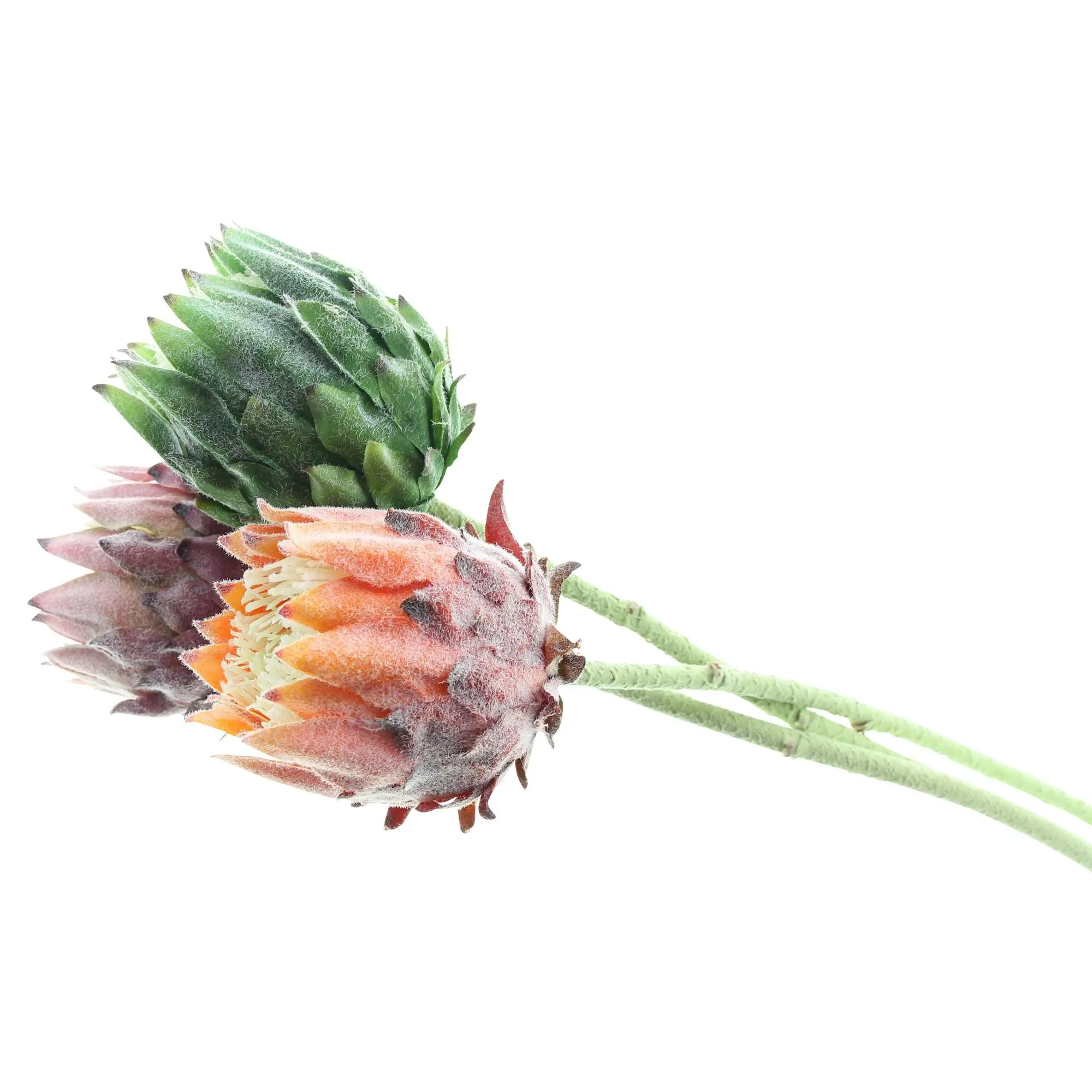 Blume "Protea", 3er Set  im Frank Flechtwaren Online Shop für Kunstpflanzen kaufen