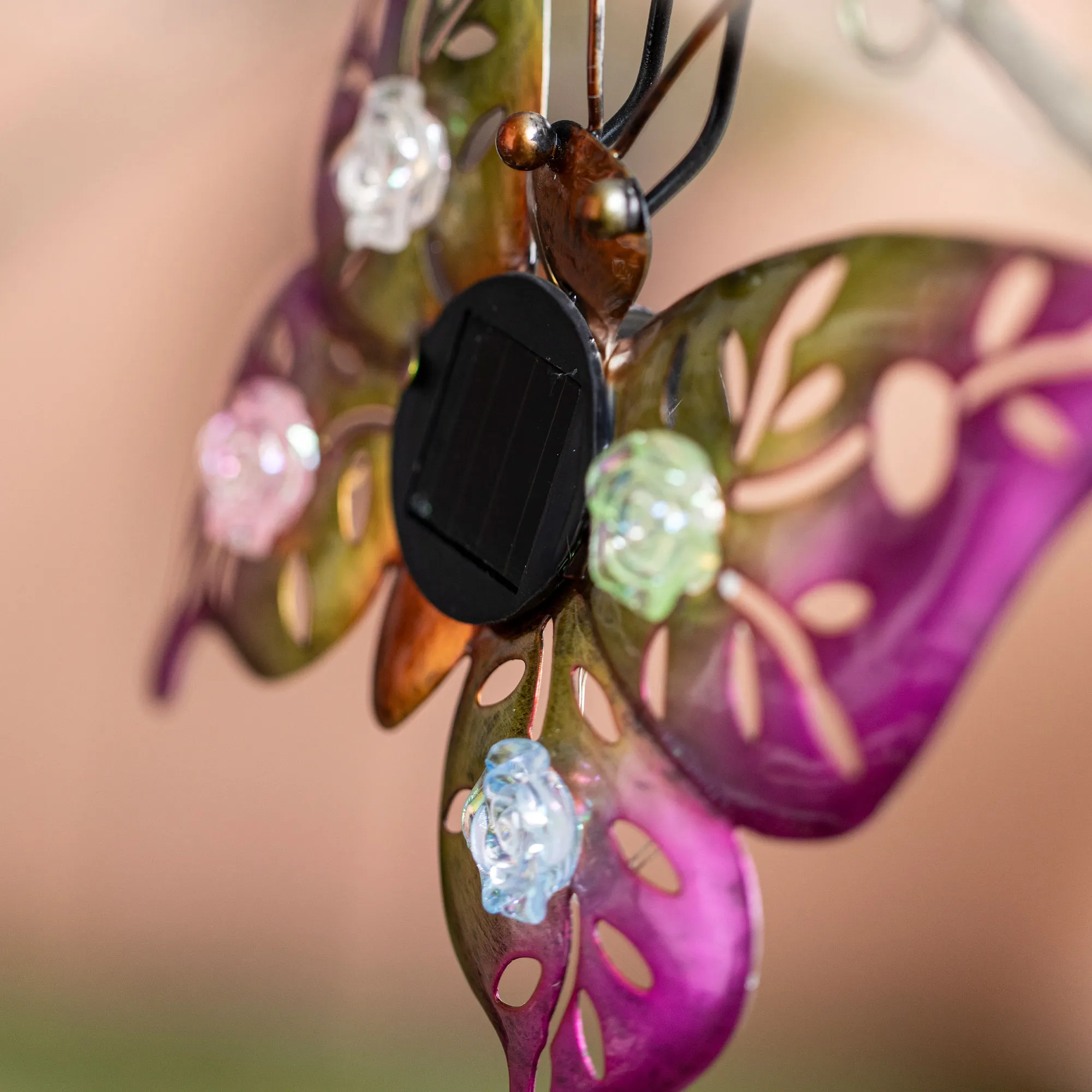 Solar-Deko "Butterfly &amp; Beetle", 2er Set  im Frank Flechtwaren Online Shop für LED-Dekoobjekte kaufen