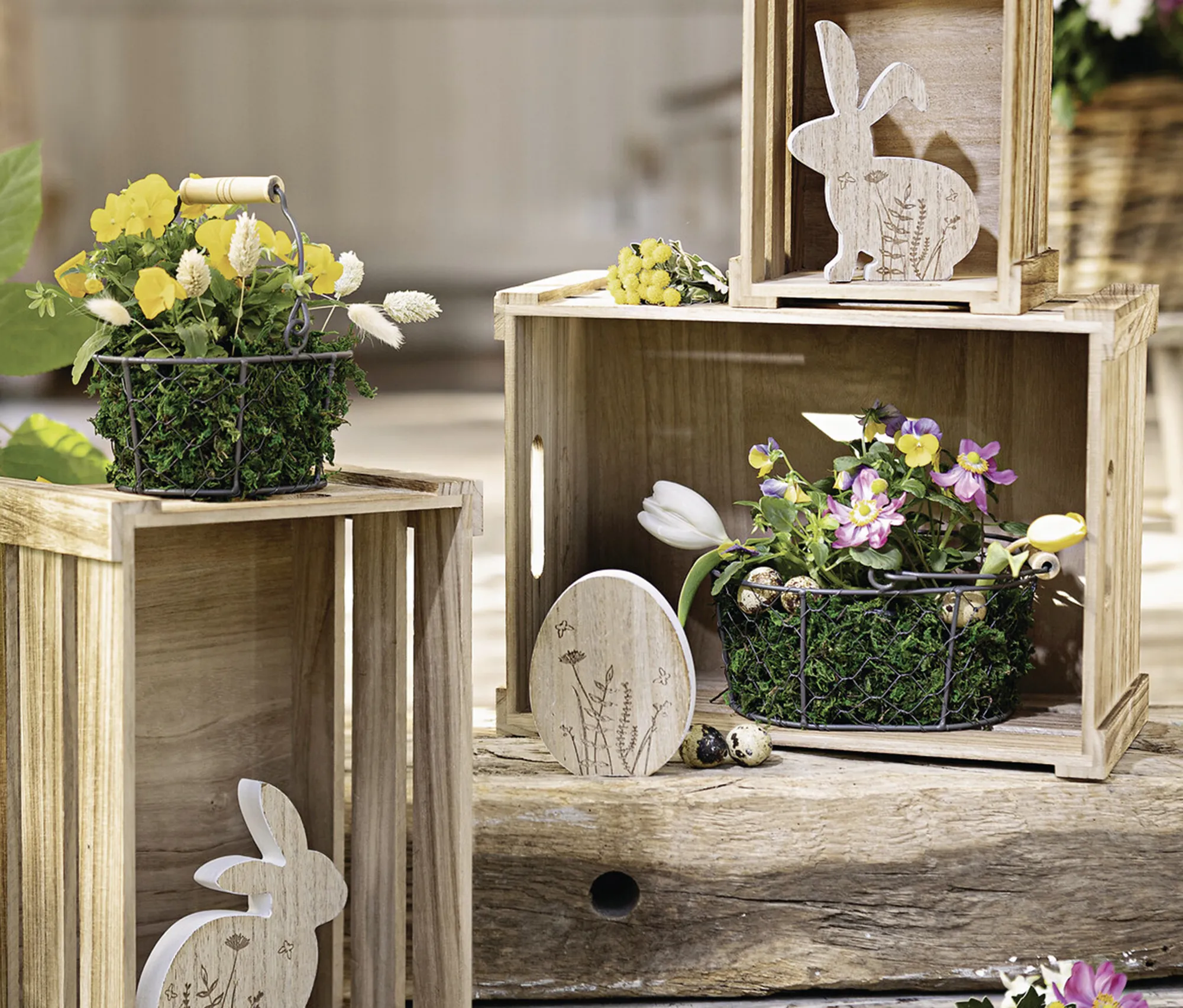 Drahtkörbchen "Petit", 2er Set  im Frank Flechtwaren Online Shop für Bunter Ostergarten kaufen