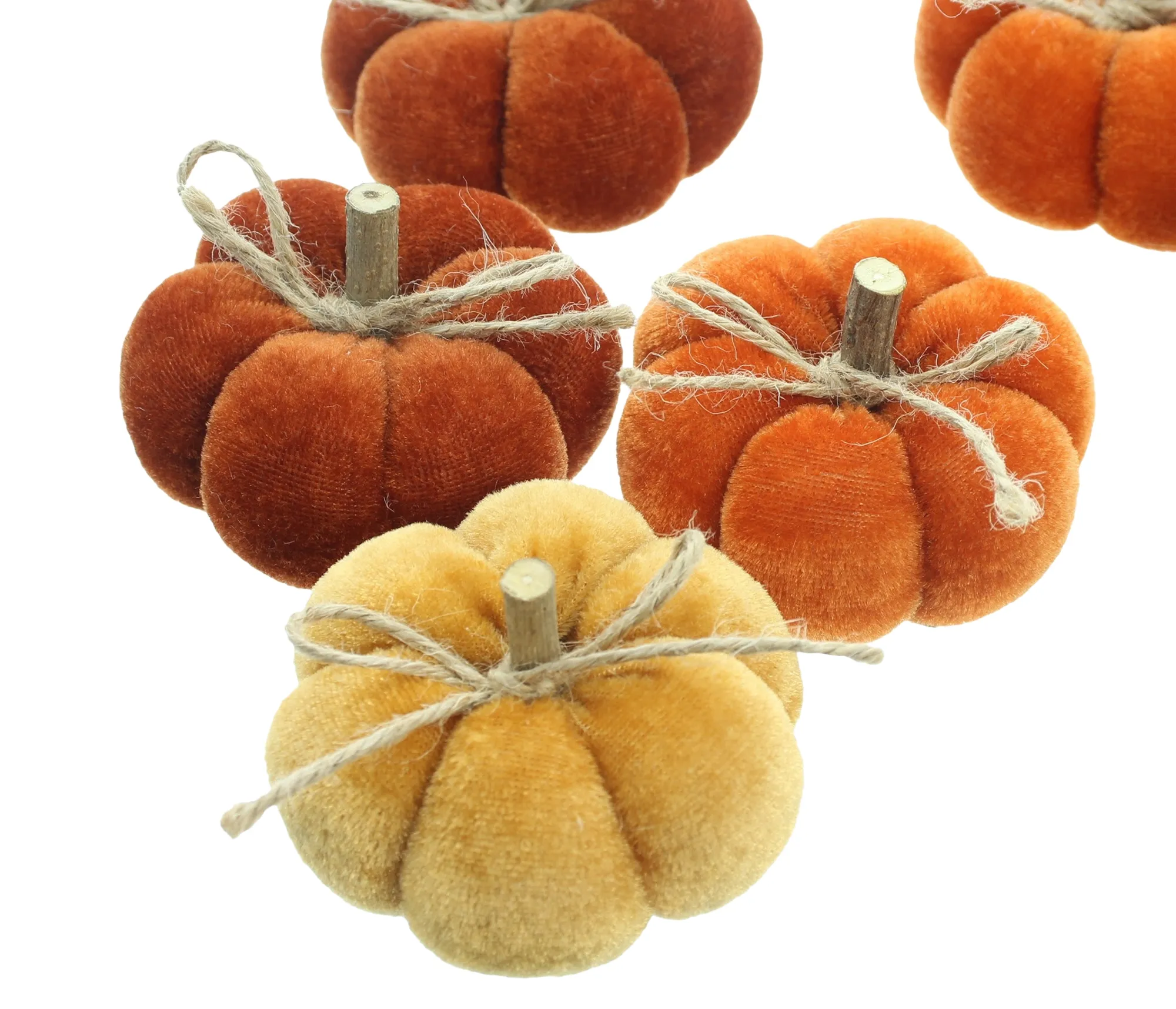 Kürbis "Herbstfarben", 6er Set  im Frank Flechtwaren Online Shop für Dekokürbisse kaufen
